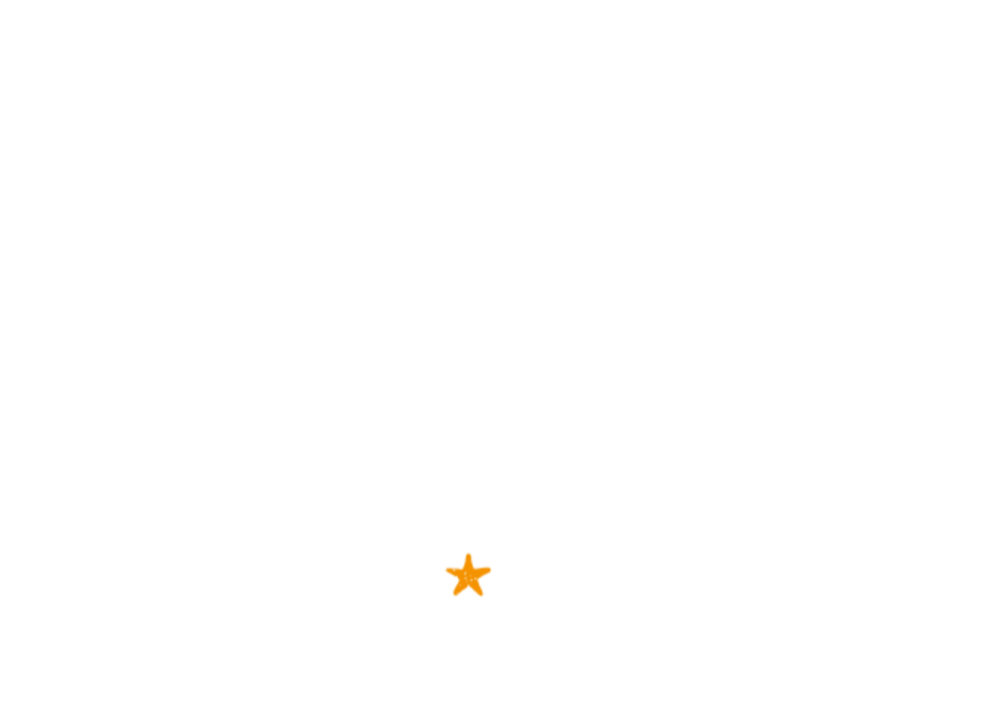 Brand New Groove logo in white text on transparent background