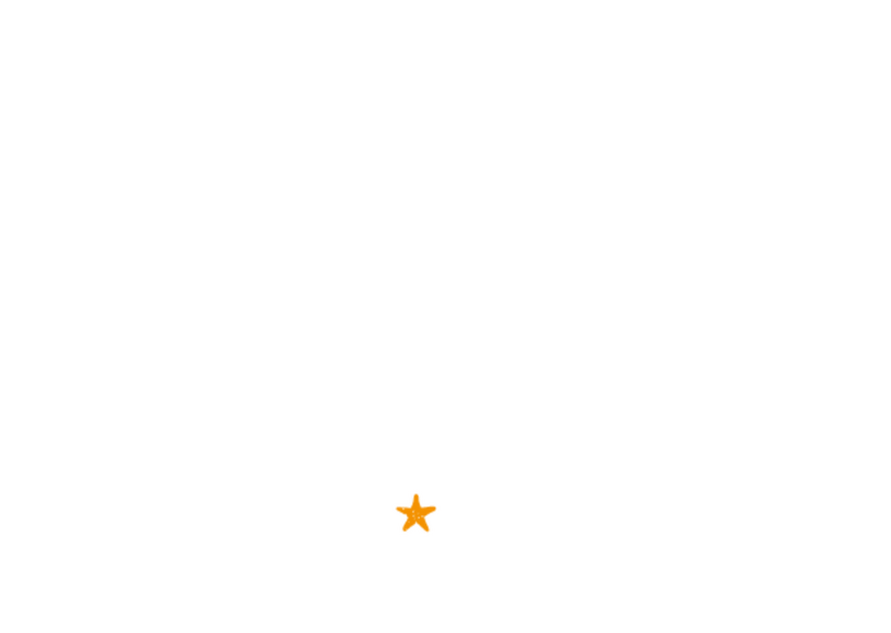 Brand New Groove logo in white text on transparent background